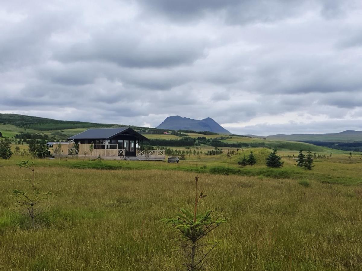 Adorable Cosy And Private New Cabin In The South Hvolsvöllur Dış mekan fotoğraf
